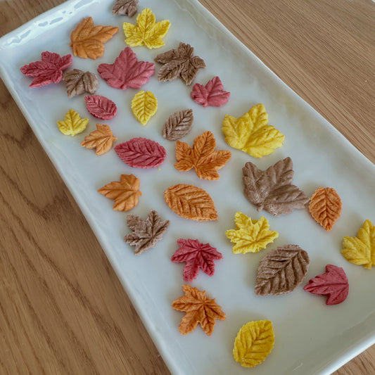 *Fall Edition* Falling Leaves Collection