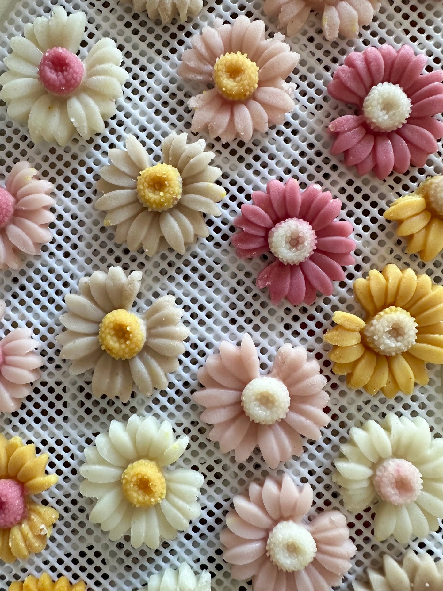 flower blooms goat milk bites - limited ingredient dog treats