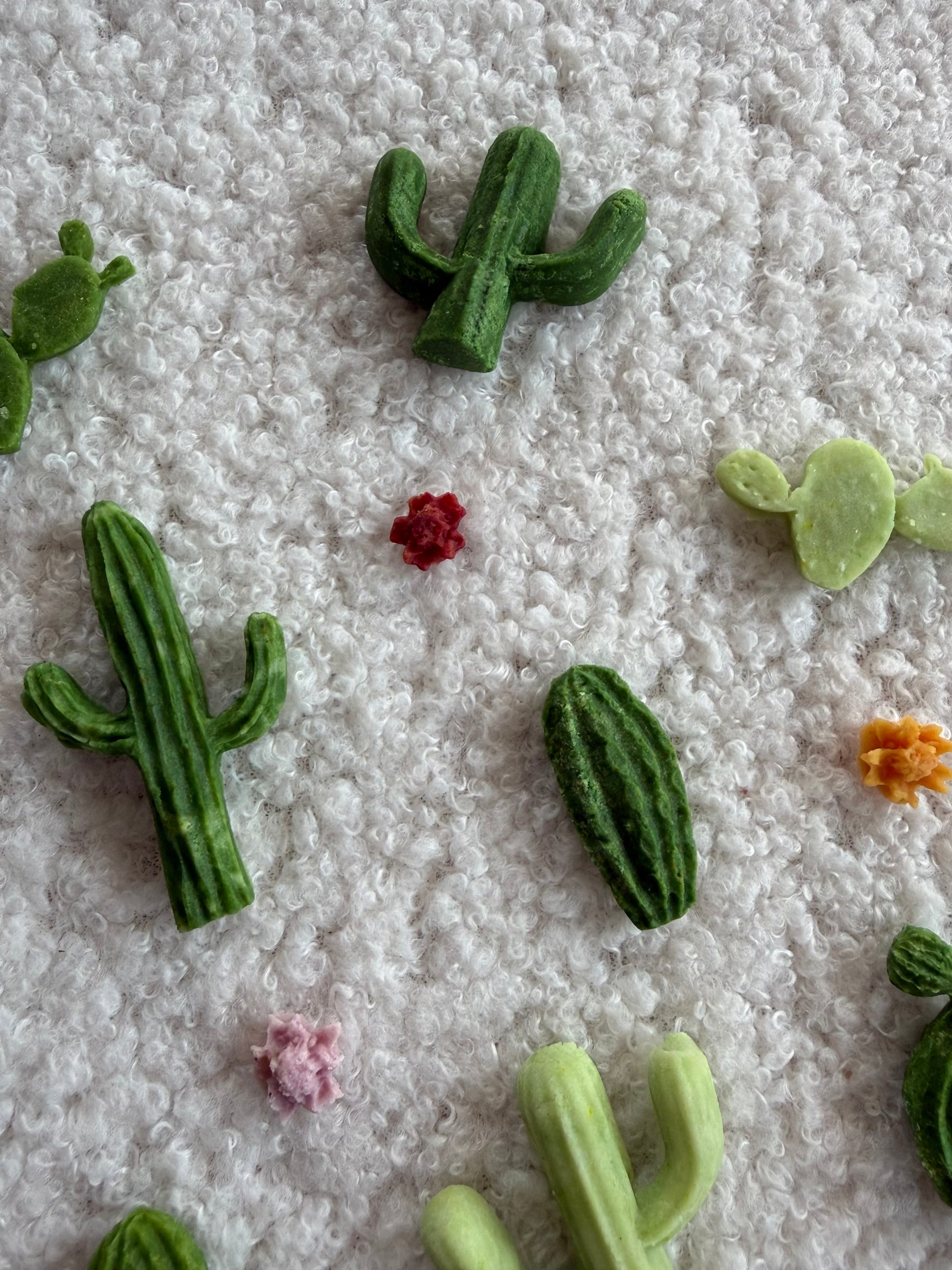 Spring Collection Cactus Club goat milk bites - limited ingredient dog treats