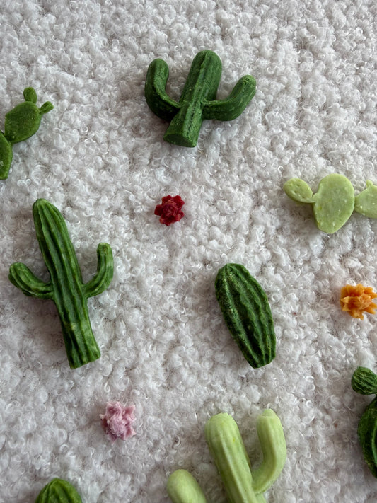 Spring Collection Cactus Club goat milk bites - limited ingredient dog treats